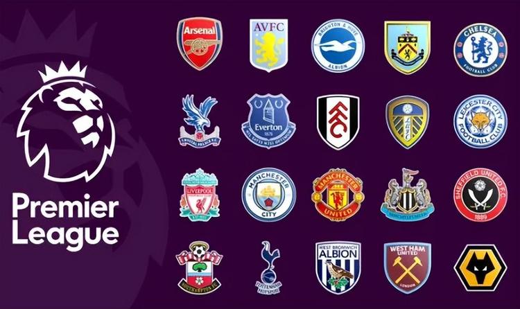 迅速形成纵 迅速形成纵