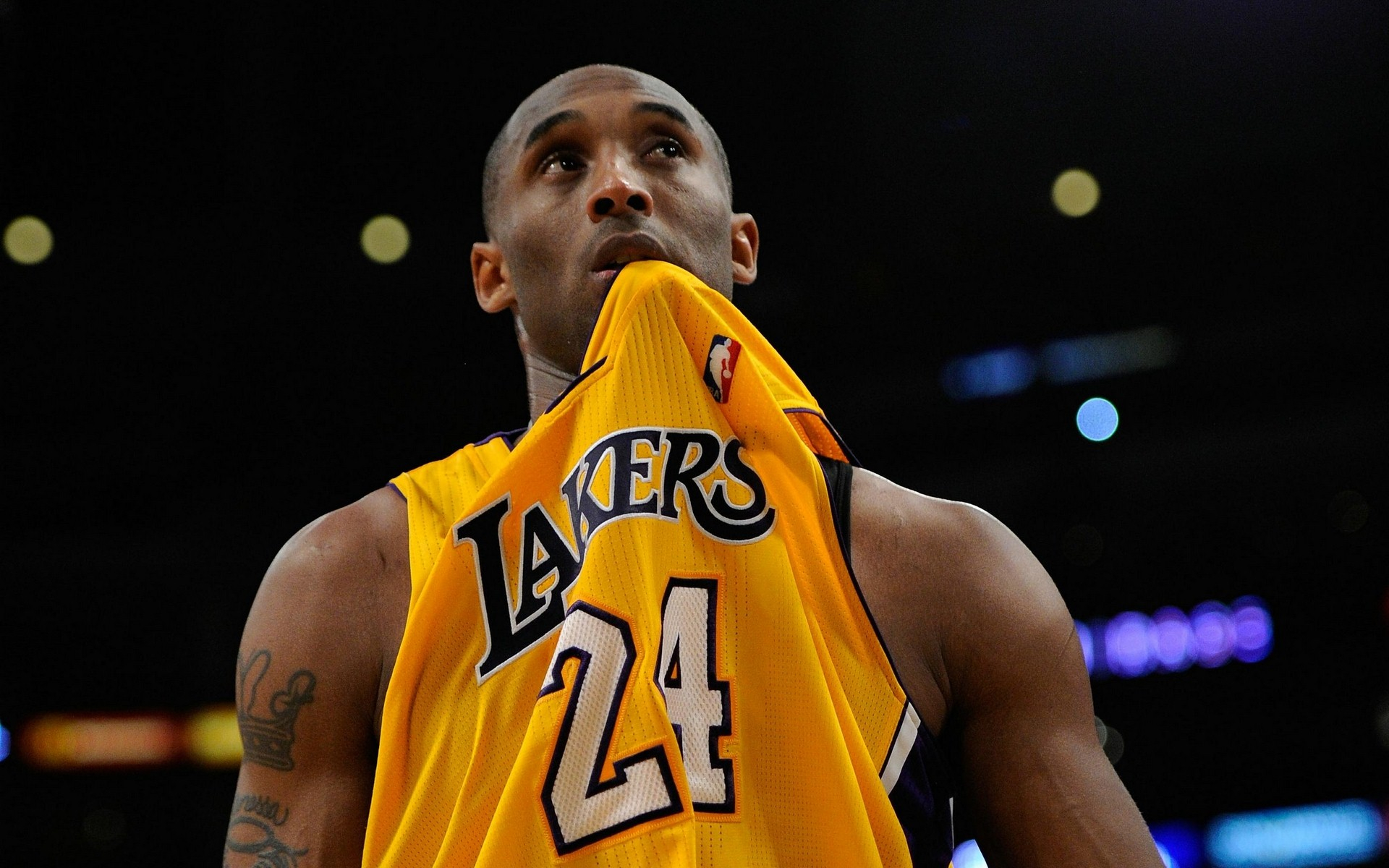 回到布特拉 回到布特拉