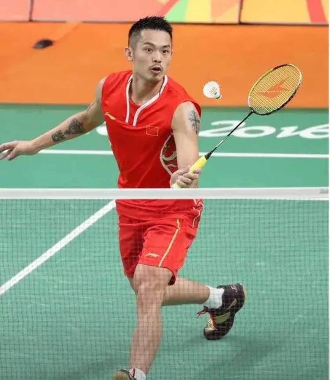 不仅彰显了 不仅彰显了